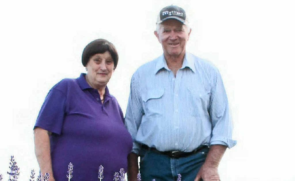 Rotary Club of Stanthorpe members Tere and Peter Bonner will see their Aloomba Lavender Farm transformed for A Lavender Affair. Rotary Club of Stanthorpe members Tere and Peter Bonner will see their Aloomba Lavender Farm transformed for A Lavender Affair.